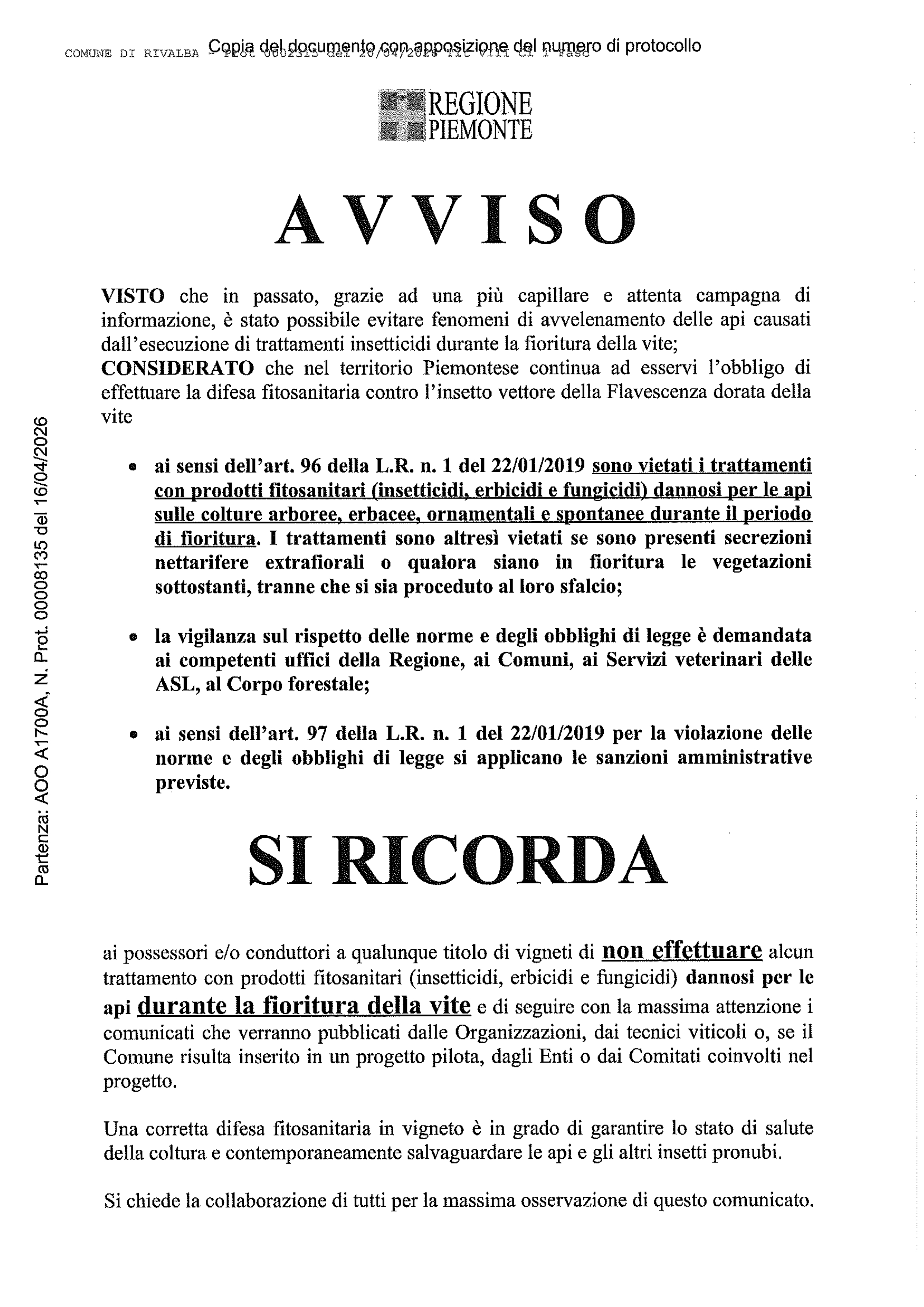 Flavescenza dorata della vite: massima attenzione!