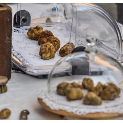 Istanza di partecipazione alla MOSTRA MERCATO della fiera nazionale del TARTUFO